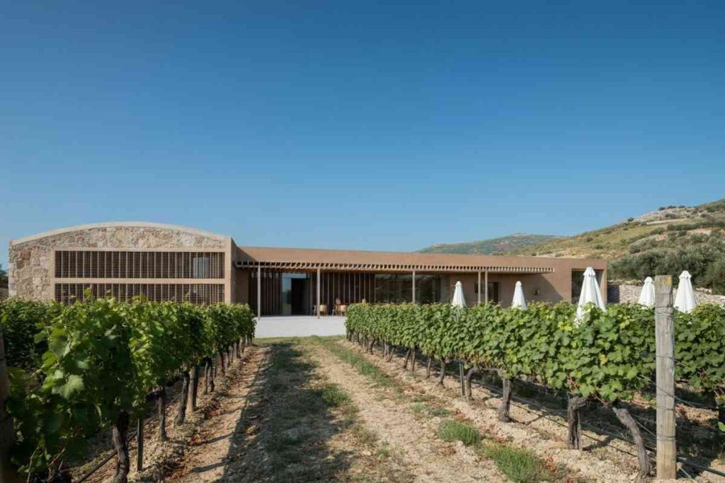 Aspiranti geometri del vino: le cantine del futuro si progettano a Venosa