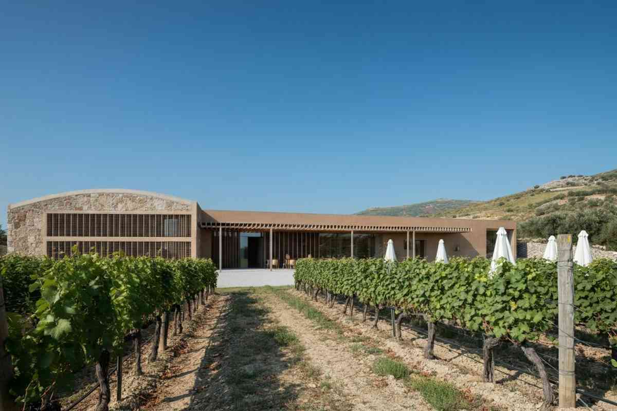 Aspiranti geometri del vino: le cantine del futuro si progettano a Venosa