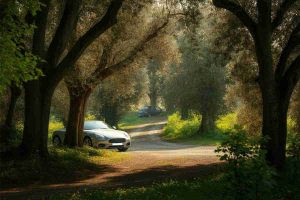 Mistero a Livorno: giovane di 27 anni trovato senza vita nel bosco dopo ore di ricerche da parte dei familiari