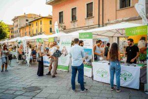 Scopri oltre 2500 opportunità di lavoro: dalla gdo al turismo, agricoltura e logistica con Openjobmetis