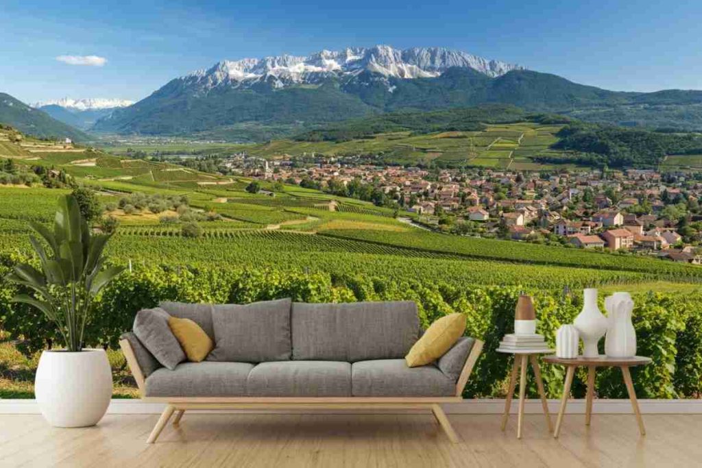 Scoprire la vita e il lavoro in Francia: guide pratiche su stipendi e opportunità
