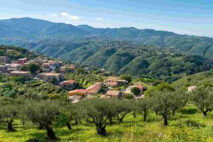 Sostenibilità in azione: 'Orizzonte Sila' unisce sviluppo e tutela dell'ambiente montano
