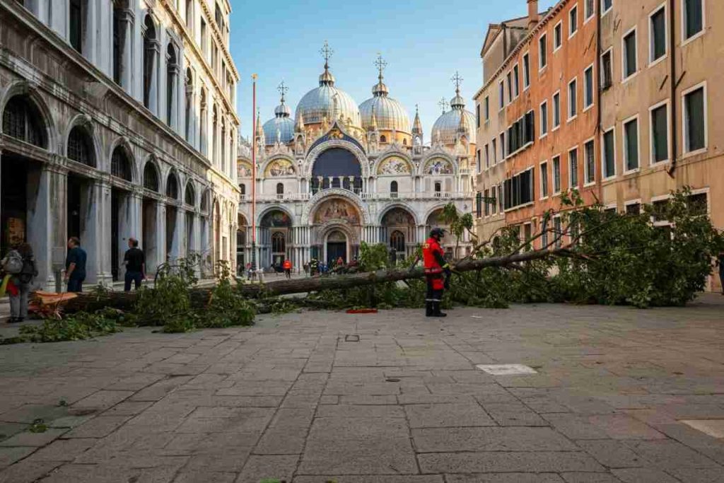 Albero cade al terminal auto di Venezia: dieci persone ferite in un incidente sorprendente