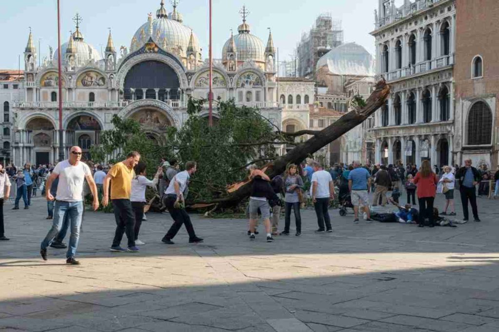Albero cade su turisti a Venezia: una donna gravemente ferita mentre i curiosi scattano selfie