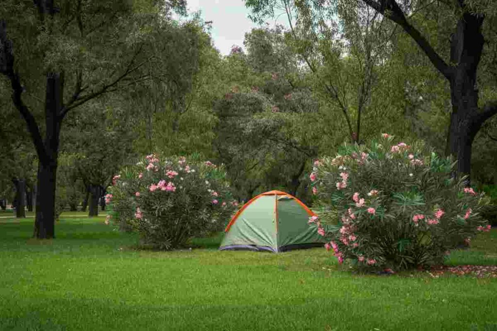 Caccia all’uomo a Villa Pamphili: testimone racconta di un uomo con madre e neonata nella tenda