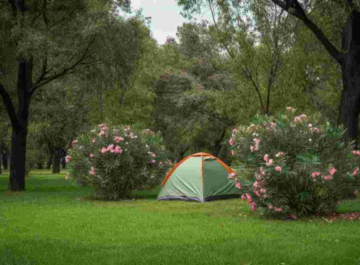 Caccia all’uomo a Villa Pamphili: testimone racconta di un uomo con madre e neonata nella tenda