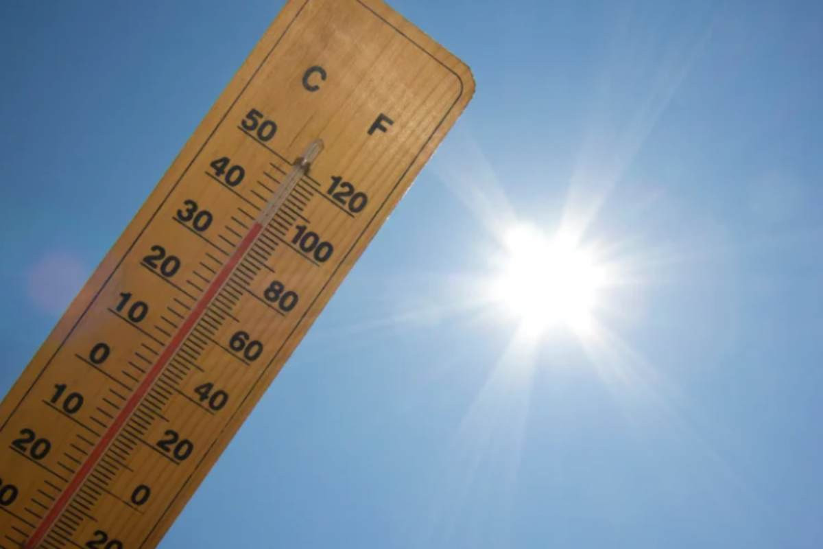 Caldo
