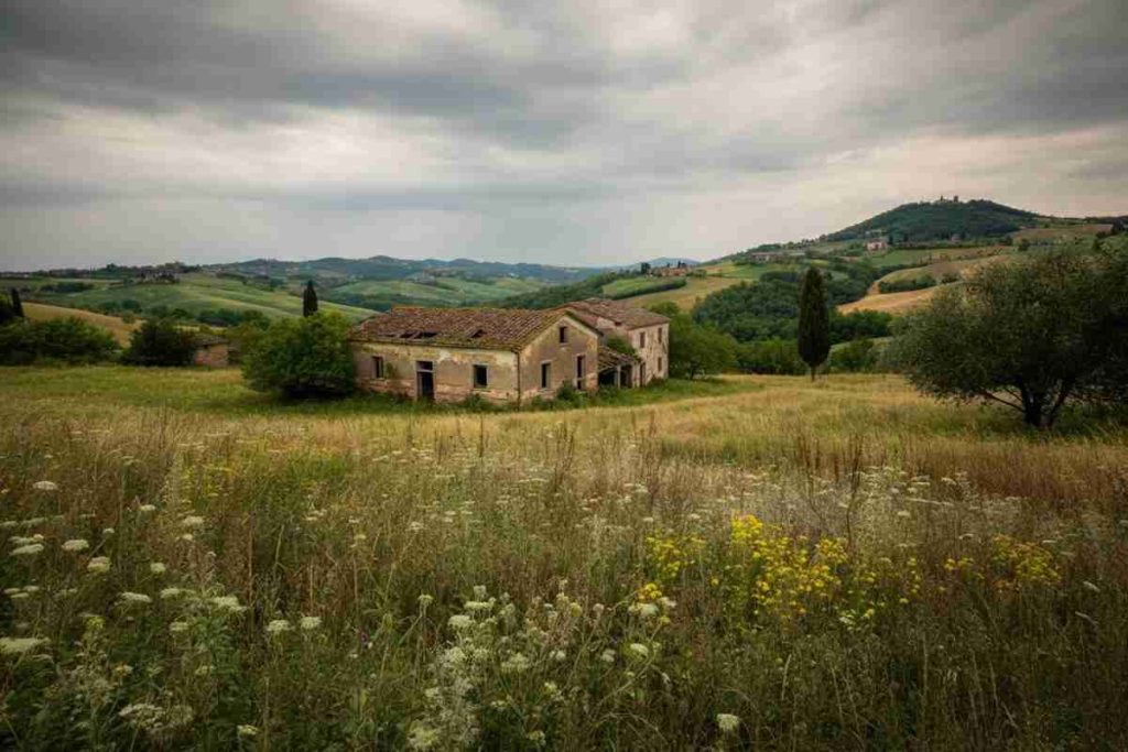 Due fratellini vissuti come selvaggi: la sorprendente storia dei bambini invisibili nel Torinese