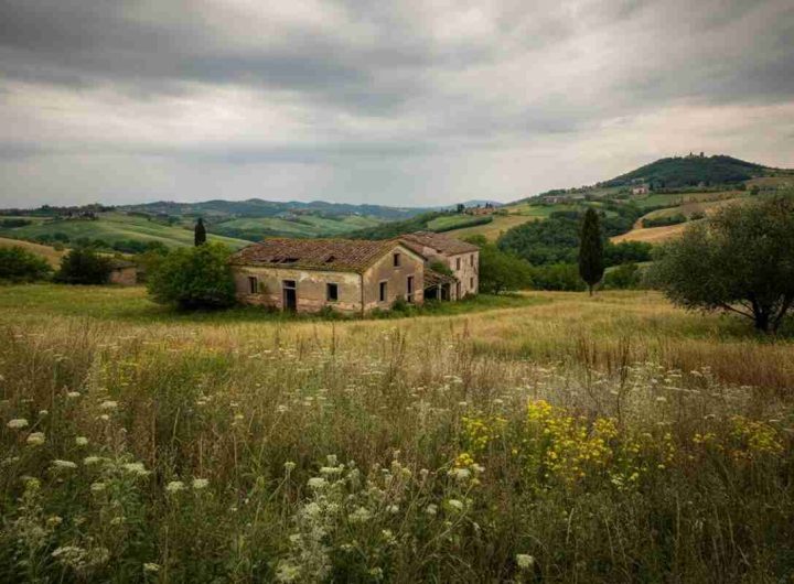 Due fratellini vissuti come selvaggi: la sorprendente storia dei bambini invisibili nel Torinese