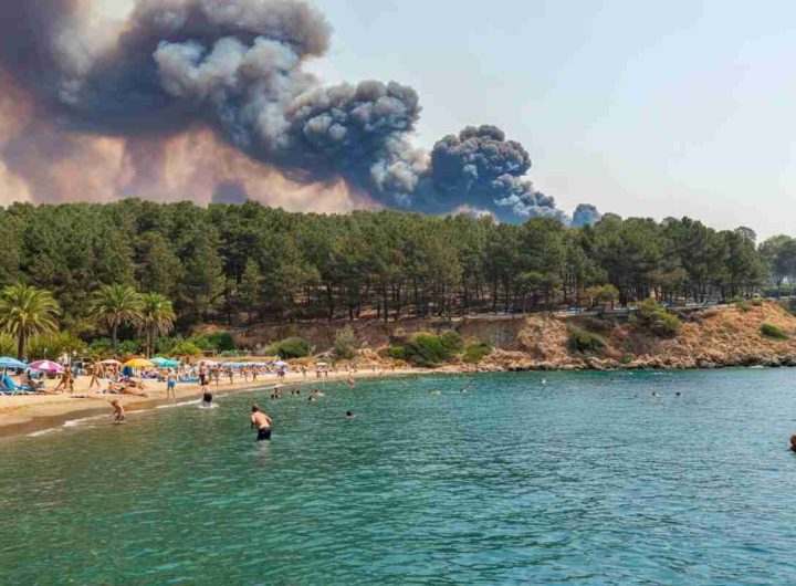 Fuga dai bagnanti in un stabilimento balneare: il maxi incendio che devasta la pineta nel Casertano