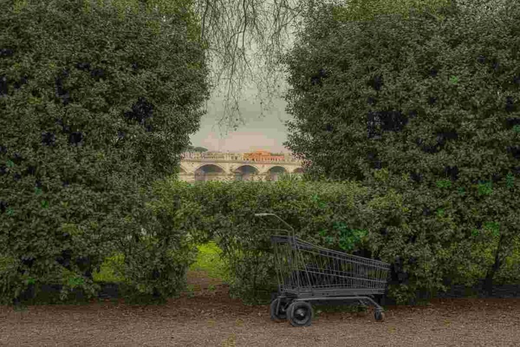 Il mistero del trolley di Kaufmann: prove di omicidi nel Tevere?