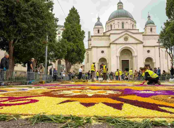 Infiorata in piazza San Pietro: un Giubileo tra fiori e fede