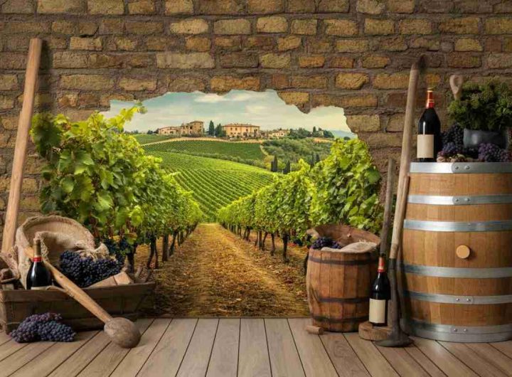 Intesa Sanpaolo lancia un piano da 10 miliardi per il rilancio dell'agroalimentare
