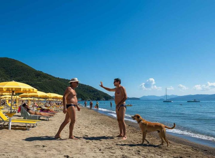 Lite in spiaggia per un cane: due bagnanti si azzuffano e un 36enne finisce in ospedale