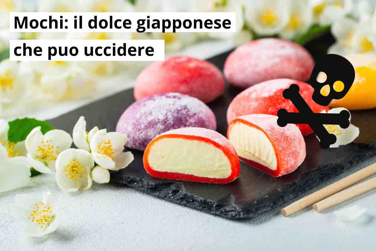 mochi