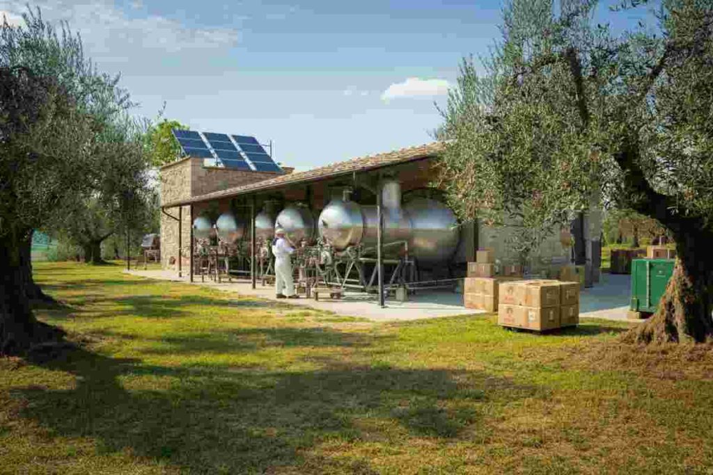 Olio Coricelli: un fatturato record di 415 milioni nel 2024, crescita del 25%