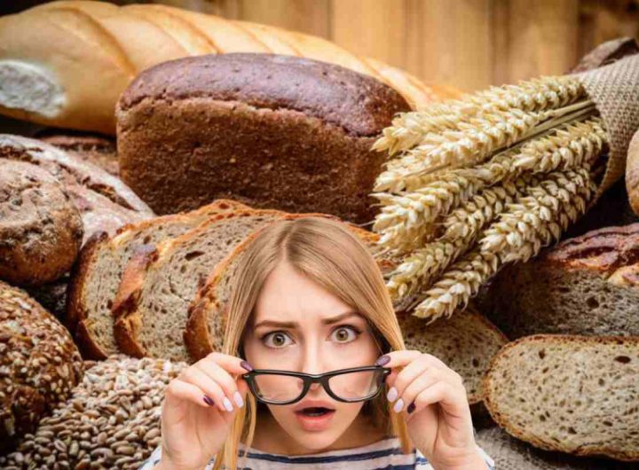 Pane
