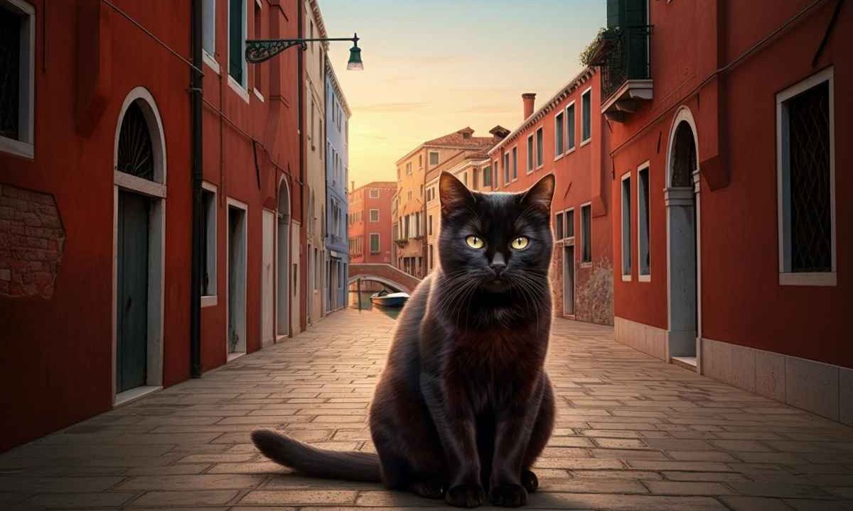 Pixar svela Gatto: il nuovo capolavoro di Enrico Casarosa