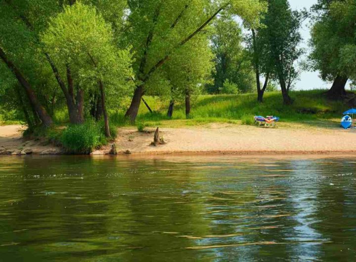 Tragedia a Treviso: una bambina di 10 anni annegata nel fiume Piave dopo un tuffo fatale