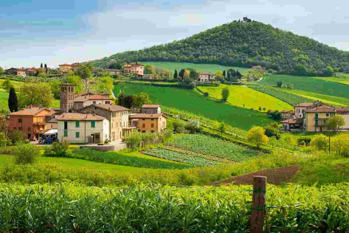 AgriMercati Ismea: segni di crescita nel primo trimestre 2025