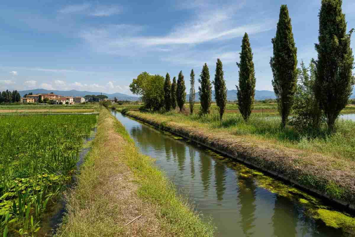 Allerta West Nile: una vittima a Roma e nuovi casi a Latina, ecco come proteggerti dalle zanzare