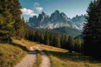 Genitori di Andrea Papi chiedono giustizia per l'orsa Jj4: «Vogliamo riaprire il caso»