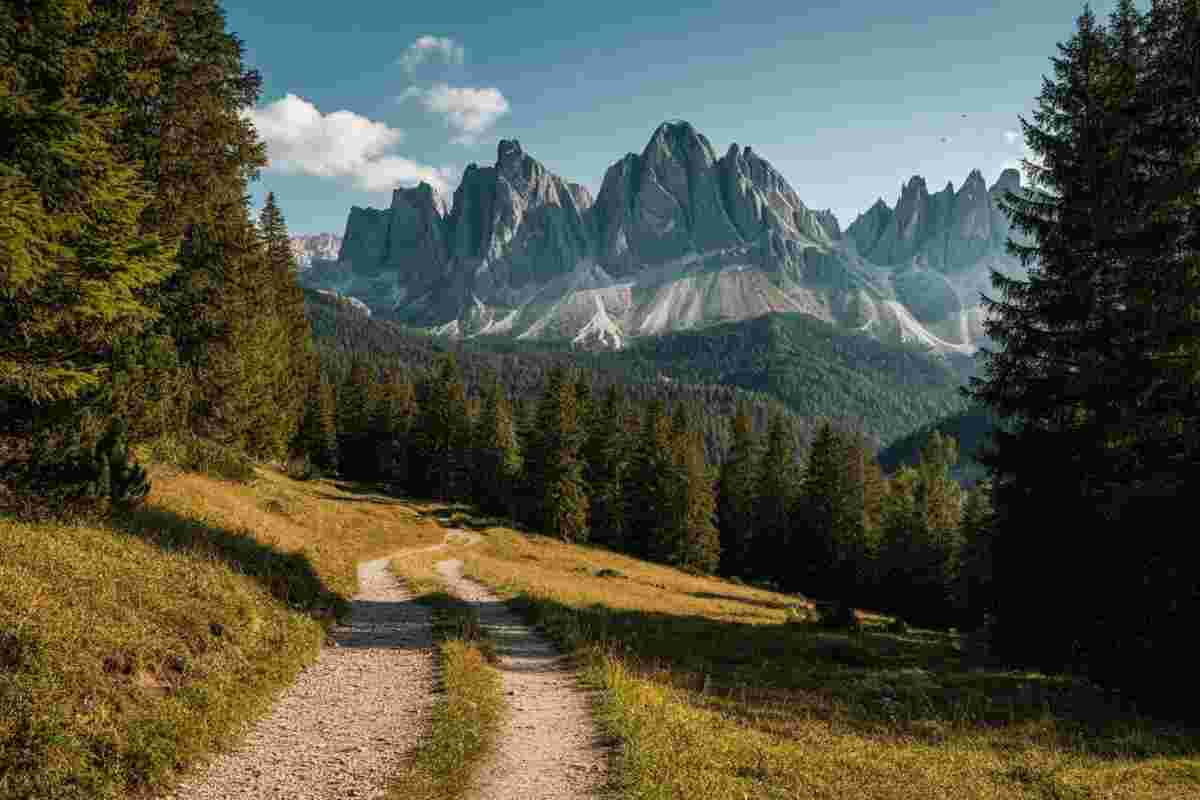 Genitori di Andrea Papi chiedono giustizia per l'orsa Jj4: «Vogliamo riaprire il caso»