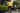 Glovo