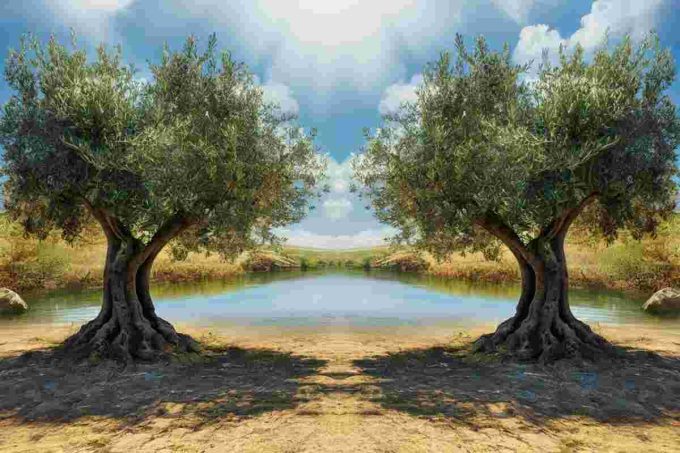 Guterres: la pace in Medio Oriente è un obiettivo tangibile, non un'illusione