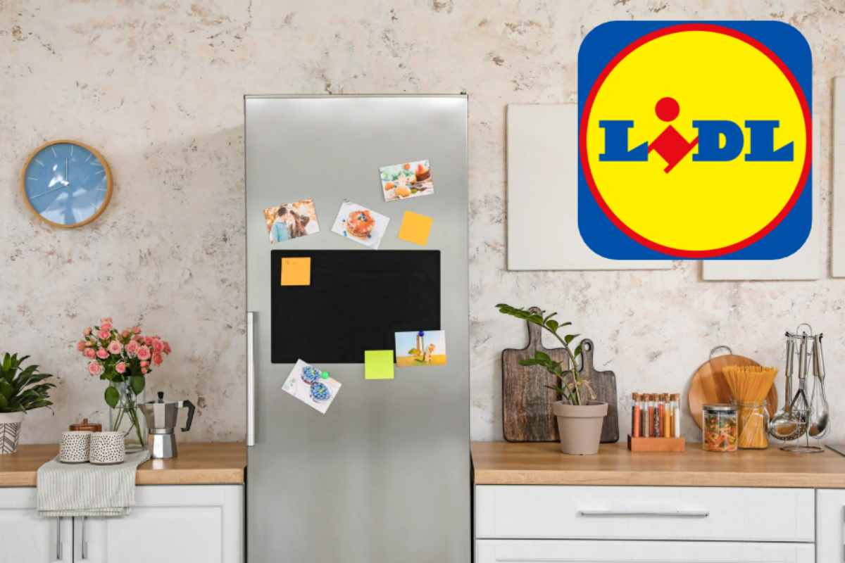Lidl
