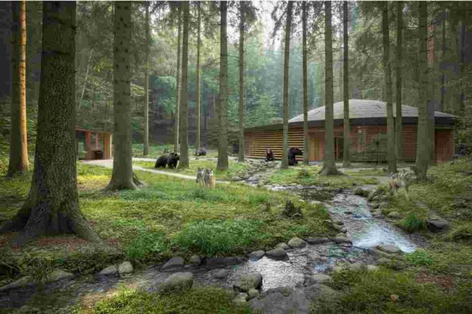 L'orsa Jj4 in viaggio verso la Foresta Nera: il mistero di un trasferimento dopo la tragedia di Andrea Papi