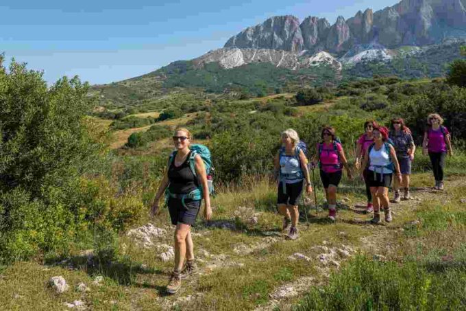 Papaleo torna alla regia: inizia l'avventura de Il Bene Comune