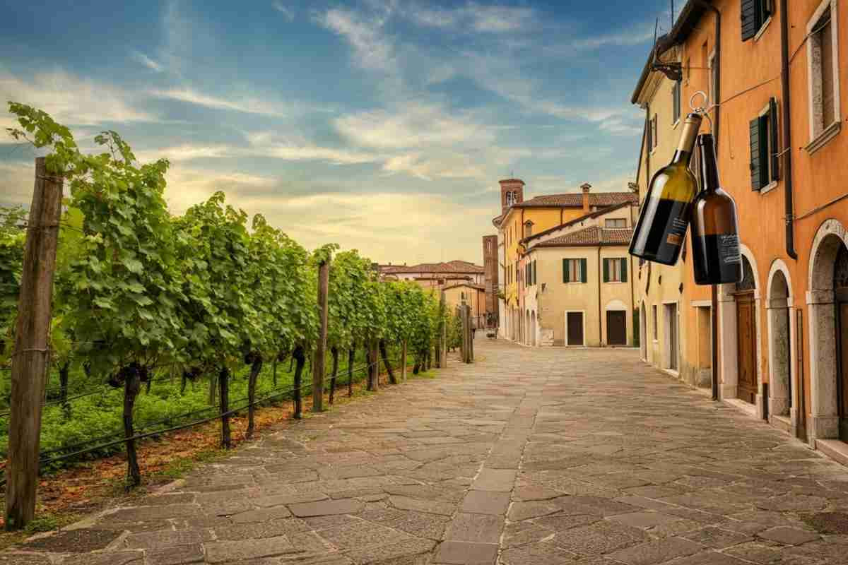 Trappole al prosecco: il piano innovativo di Treviso per combattere i topi