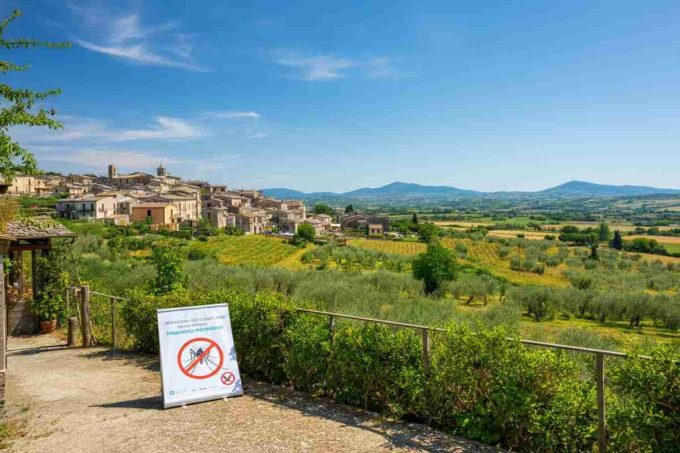 West Nile colpisce ancora: seconda vittima a Roma e nuovi casi in Lazio e Campania