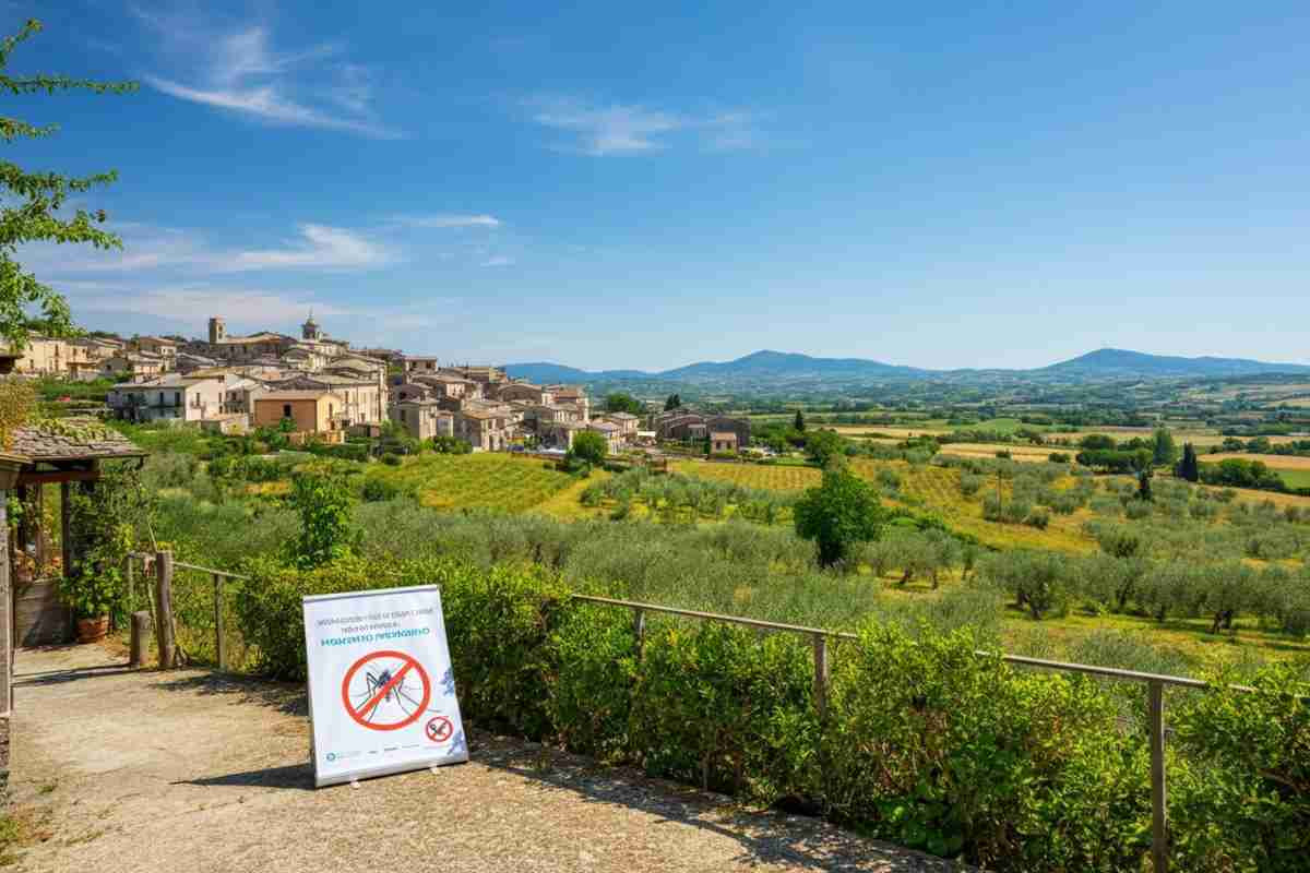 West Nile colpisce ancora: seconda vittima a Roma e nuovi casi in Lazio e Campania