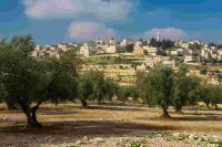 Berlino chiede a Israele di fermare la costruzione degli insediamenti