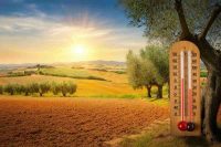 Caldo africano in arrivo: temperature oltre i 40 gradi e afa fino a Ferragosto