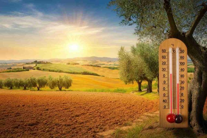 Caldo africano in arrivo: temperature oltre i 40 gradi e afa fino a Ferragosto