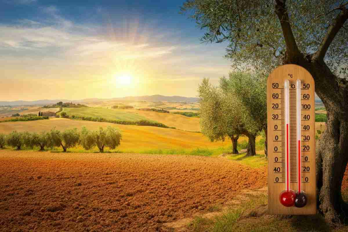 Caldo africano in arrivo: temperature oltre i 40 gradi e afa fino a Ferragosto