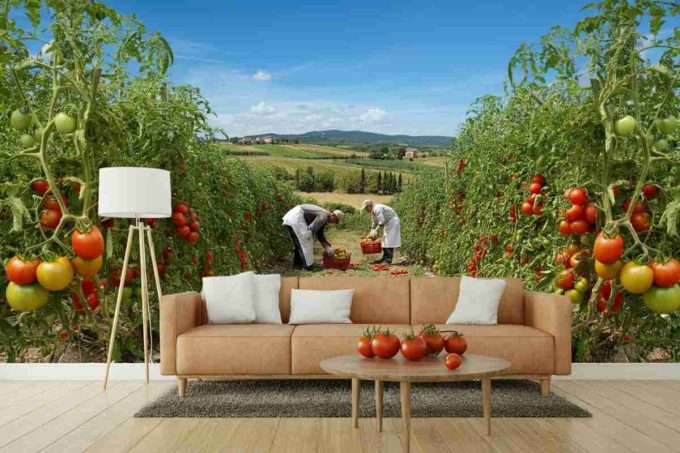 Dazi sul pomodoro San Marzano: Napoletano annuncia un aumento al 21,5% da domani