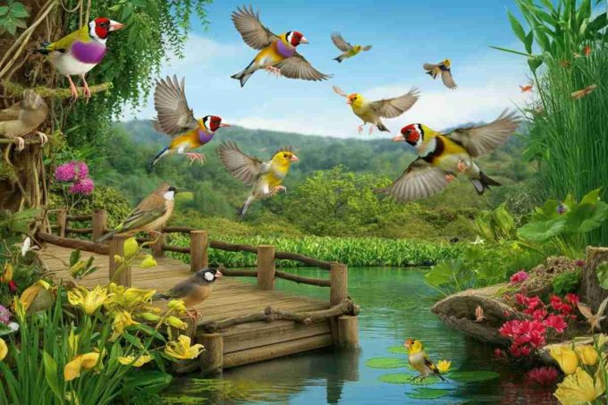 Maxi sequestro a Pozzallo: quasi 3mila volatili salvati dal mercato nero