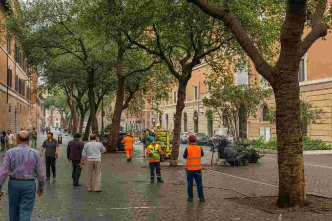 Roma, 614 alberi caduti in 10 mesi: la sfida della sicurezza verde e le indagini in corso