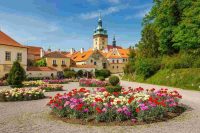 Scoperta una nuova varietà di garofano a Klatovy: il fiore 'divino' che conquista il turismo in Repubblica Ceca