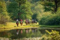 Scopri oltre 200 itinerari per una vacanza indimenticabile in sella