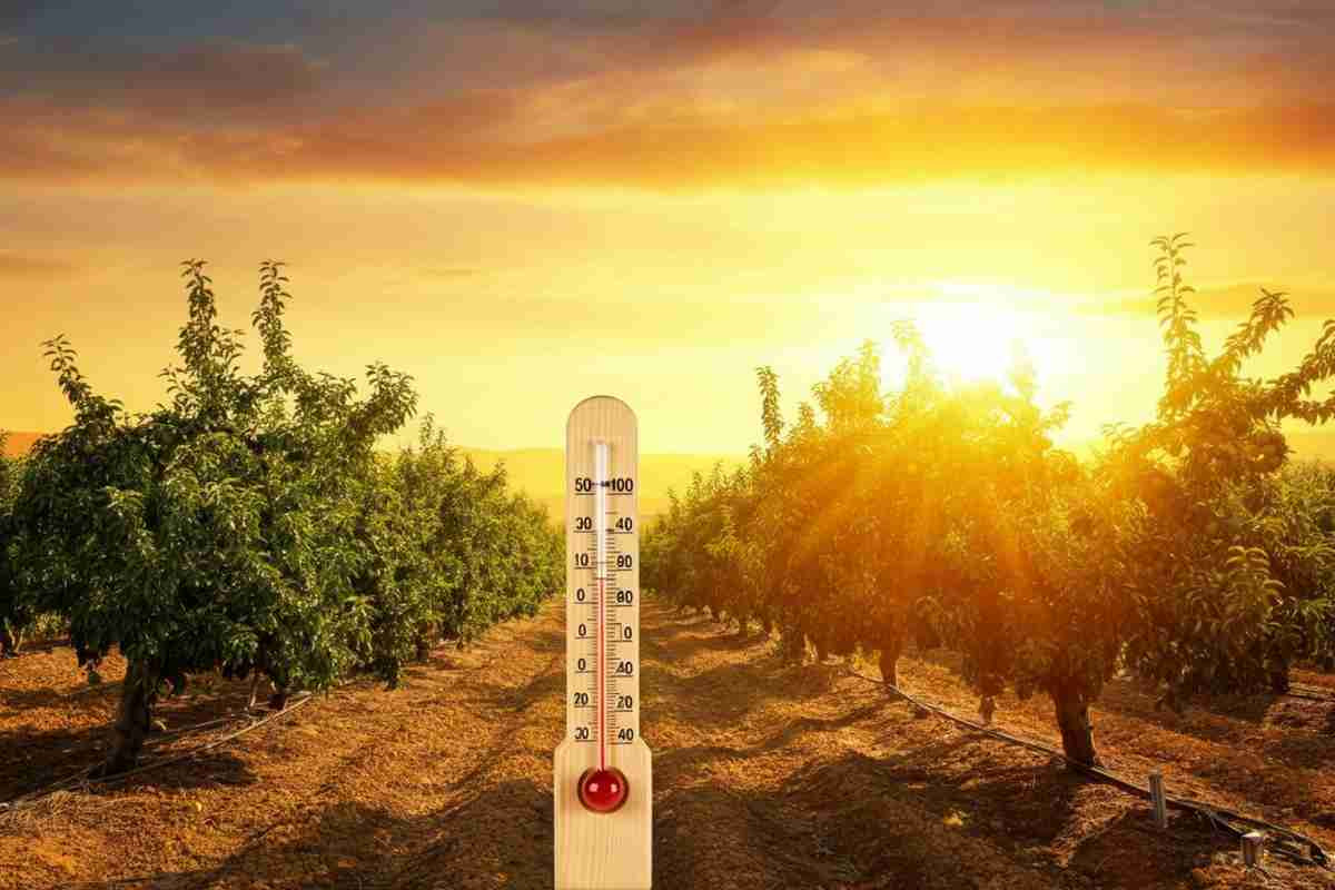 Tragedia in Spagna: un bracciante perde la vita sotto il sole cocente di 40 gradi