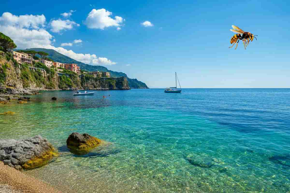 Tragedia in vacanza: uomo di 67 anni muore per puntura di calabrone, organi salvati per la donazione