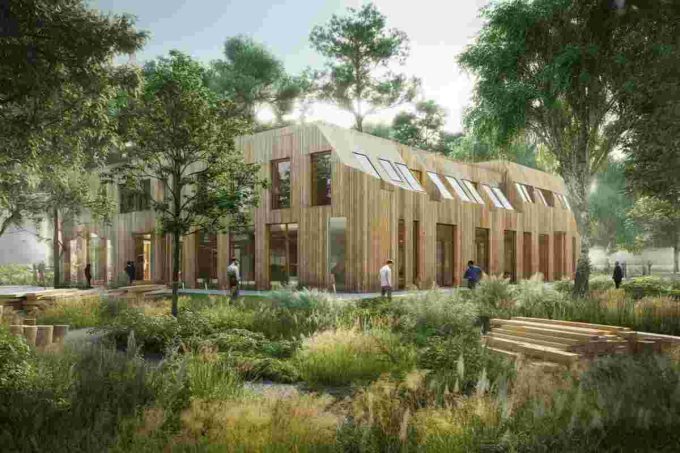 Assolegno: il legno come chiave per un futuro sostenibile