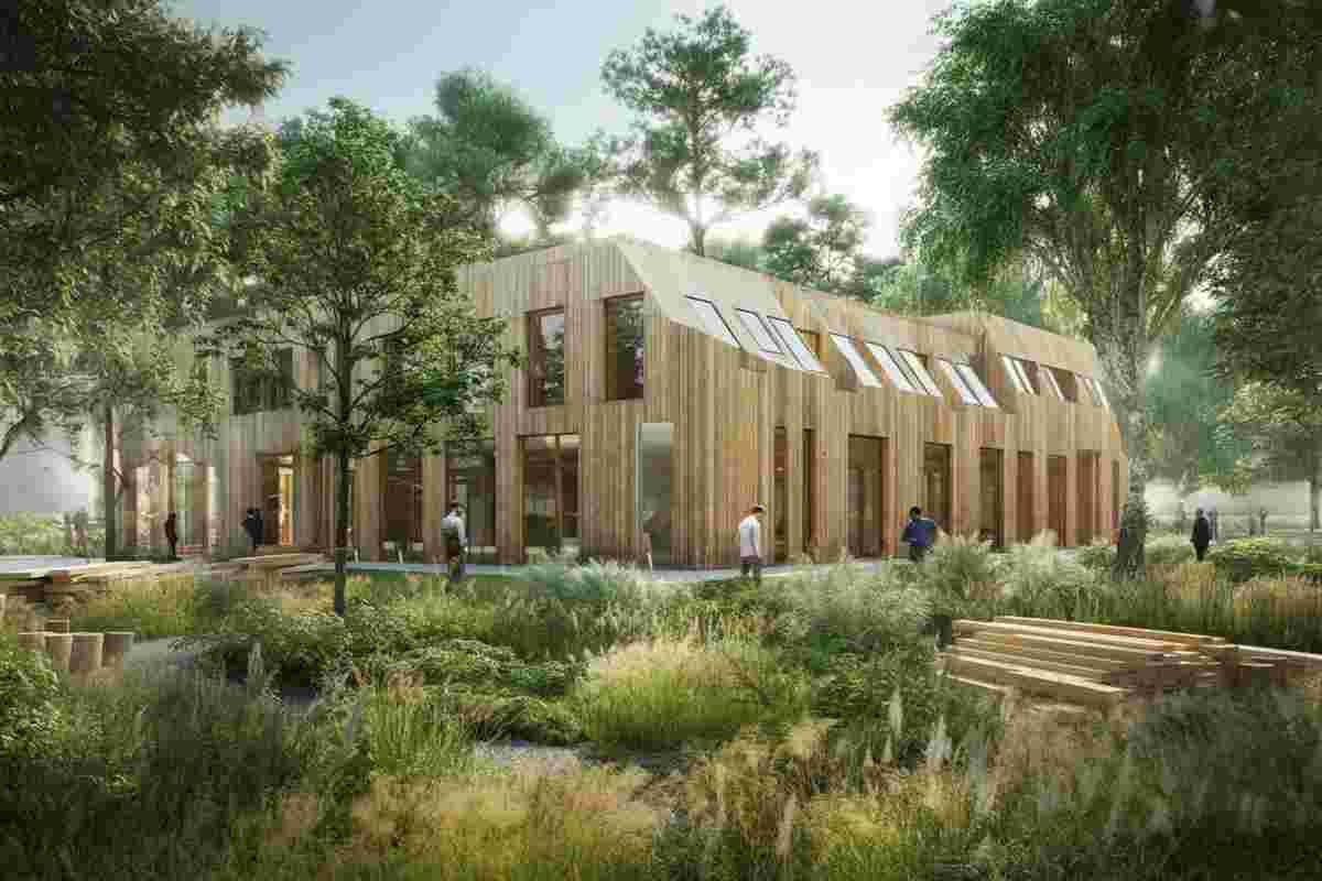 Assolegno: il legno come chiave per un futuro sostenibile