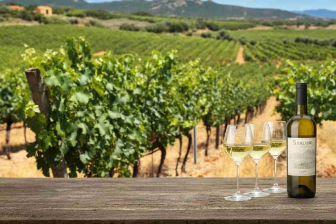 Emanuele Ragnedda: l'imprenditore sardo e il dramma del femminicidio di Cinzia Pinna