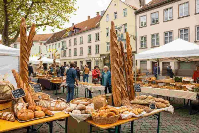 Pane Nostrum 2025: un viaggio nell'eccellenza dell'arte bianca a Senigallia